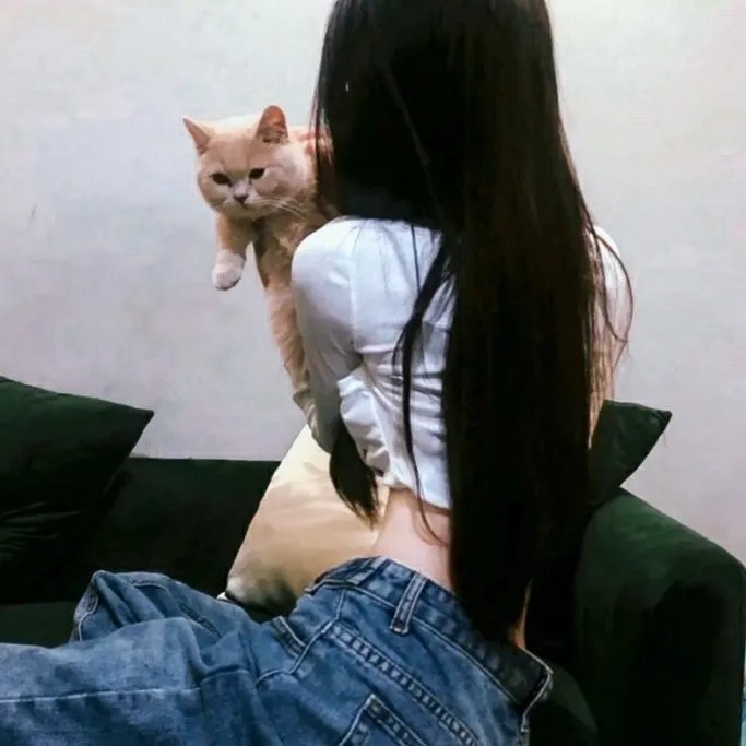 试睡员48小时